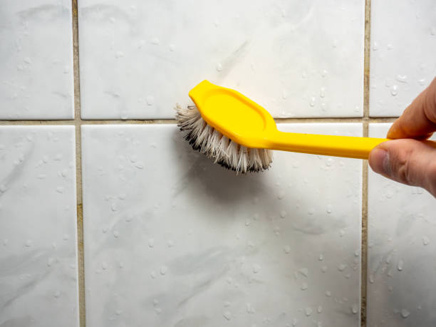 Best Toxic Mold Removal  in Wingdale, NY