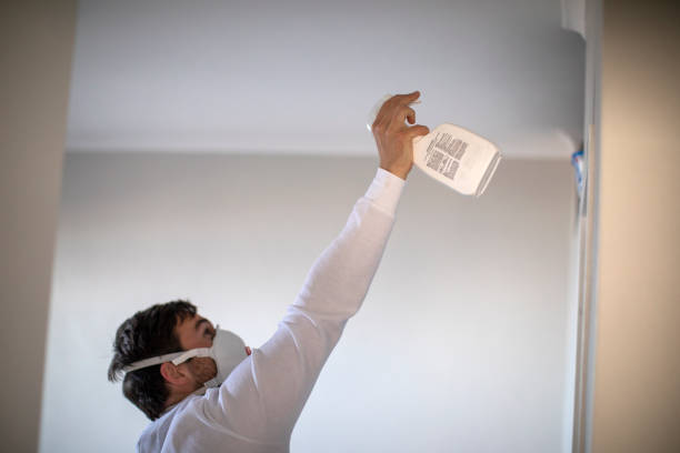 Best Same-Day Mold Removal  in Wingdale, NY