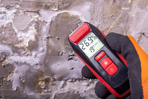 Professional Mold Removal in Wingdale, NY