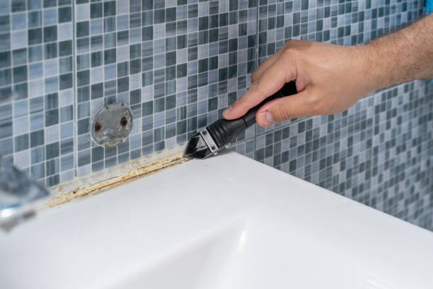 Best Local Mold Removal Service  in Wingdale, NY